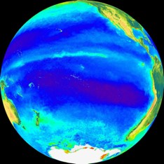 Satellite Image of Ocean Chlorophyll